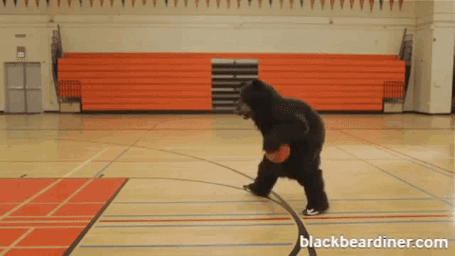 Black Bear Diner Bears GIF - Black Bear Diner Bears Basketball GIFs