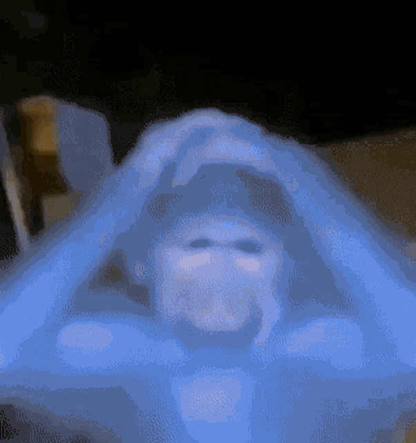 Monkey Shocked Monkey GIF - Monkey Shocked Monkey Disappointed GIFs
