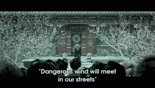 The Grandmaster: Dangerous Wind Will Meet In Our Streets GIF