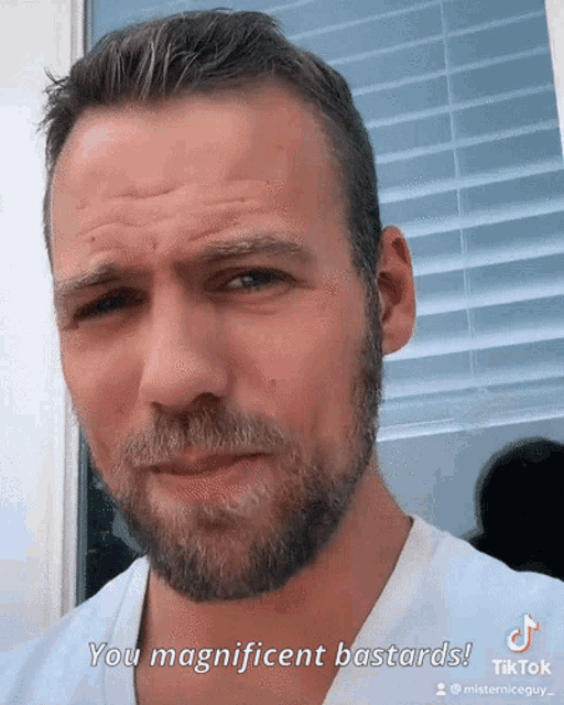 a man with a beard says " you magnificent bastards " on a tiktok video