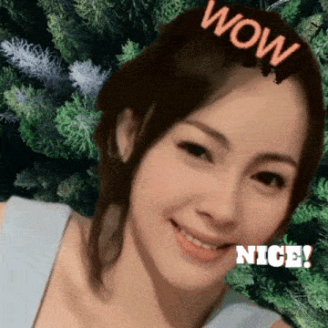 a woman 's face with trees in the background and the words wow nice on her head