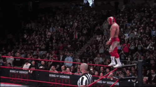 Komander Roh GIF
