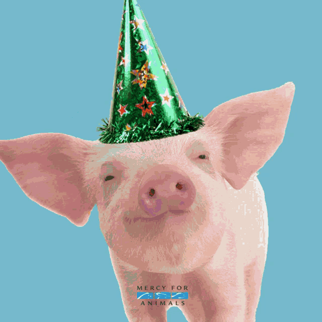 Linda Piggy GIF - Linda Piggy Birthday GIFs