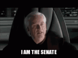 a man is sitting in a chair with the words `` i am the senate '' written on his face .