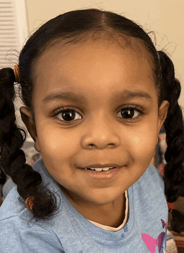 a little girl with pigtails wearing a blue shirt