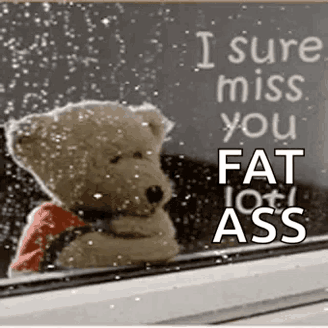a teddy bear is looking out of a window with a sign that says `` i sure miss you fat lot ass '' .