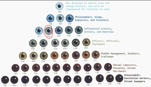 a chart showing different types of people 's eyes including philosophers king explorers and inventors