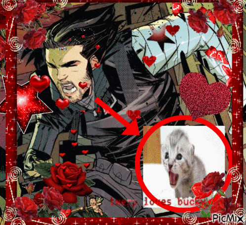 a picture of a man surrounded by hearts and roses with a picture of a kitten in the corner that says picmix