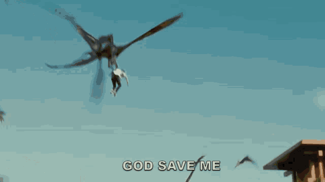 a group of birds are flying in the sky with the words god save me visible