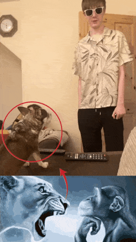 a man standing next to a dog and a painting of a lion and monkey