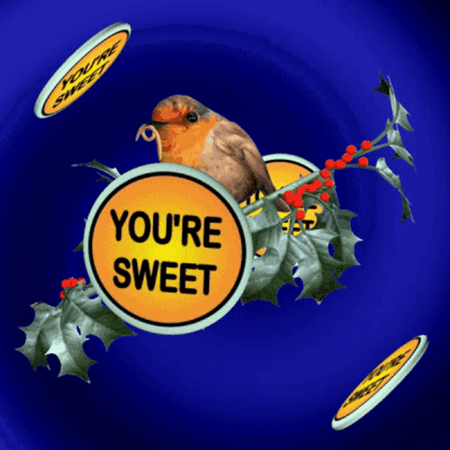 a bird is perched on a holly branch with a sign that says you 're sweet