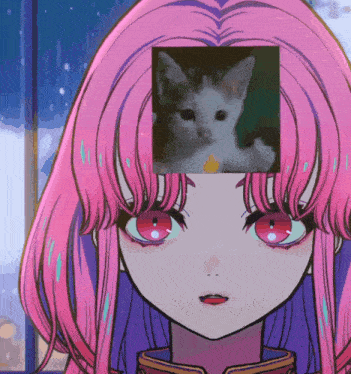 a pink haired anime girl with a picture of a cat on her head