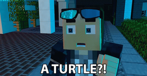 A Turtle Confused GIF - A Turtle Confused Turtle GIFs