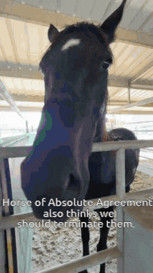a horse of absolute agreement also thinks we should terminate them ..