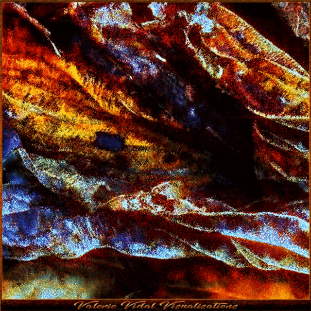 a colorful painting with the name valerie vidal on the bottom right