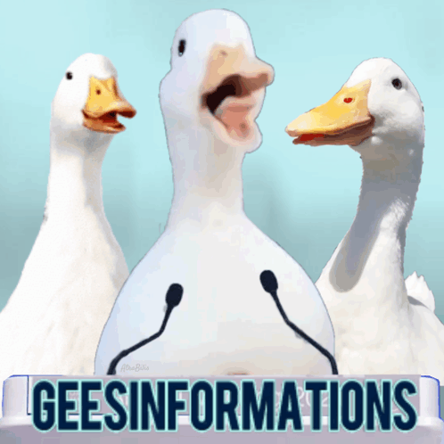 Geesinformations Meme Funny Animals GIF - Geesinformations Meme Funny Animals Politics GIFs