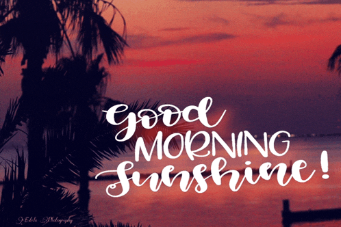 a picture of a sunset with palm trees and the words good morning sunshine