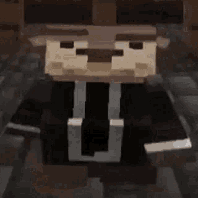 a close up of a minecraft character wearing a black and white shirt .