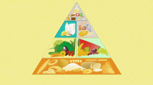 有益的食物食物金字塔歌 Food Pyrad Song GIF - 金字塔pyramid Food Pyramid食物金字塔 GIFs