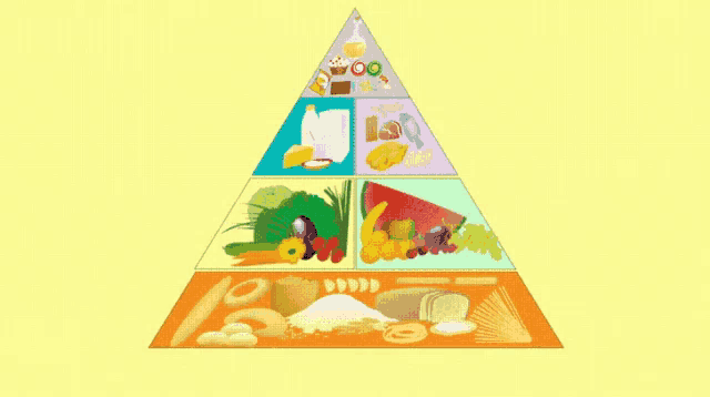 an illustration of a food pyramid in chinese