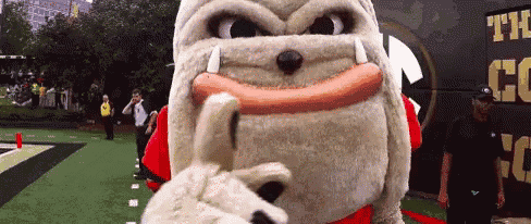a bulldog mascot is giving a thumbs up sign while standing on a football field .