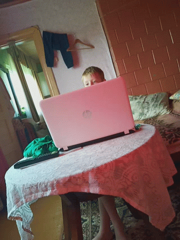 Bruolis Laptop GIF - Bruolis Laptop Watching GIFs