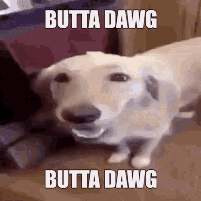 Butta Dawg GIF - Butta Dawg Butter GIFs