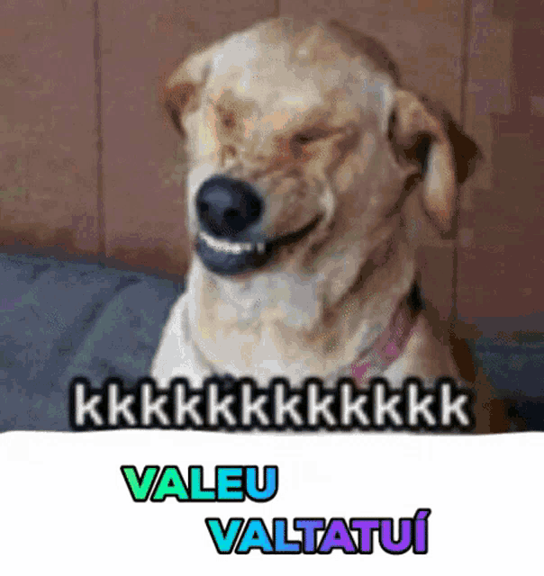 a picture of a dog with the words valeu valtatui on the bottom