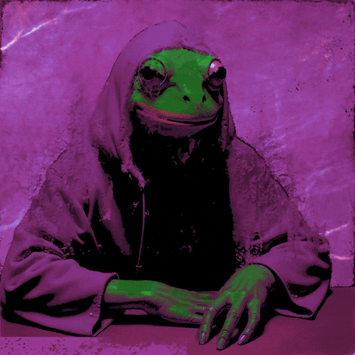 a green frog wearing a purple hooded jacket