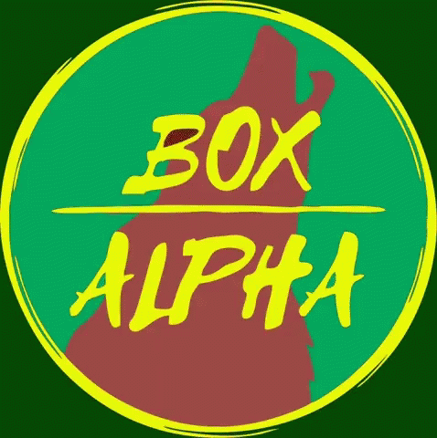 Bealpha Boxalpha GIF - Bealpha Boxalpha Alcateia GIFs