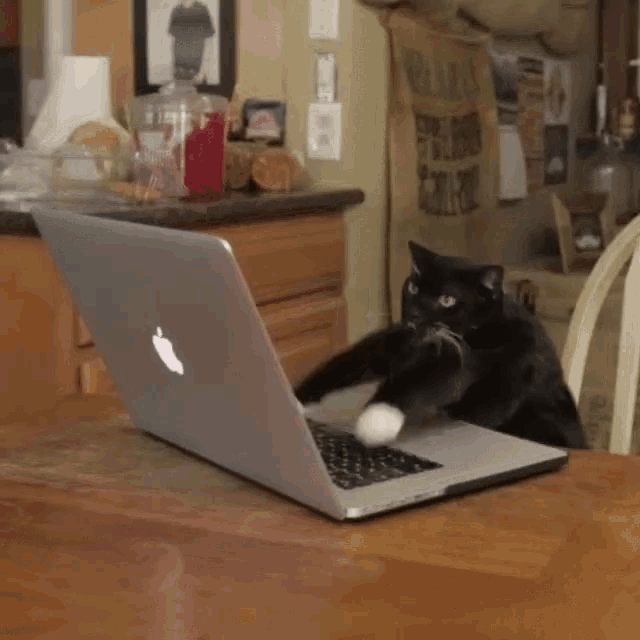 a cat playing with an apple laptop on a table