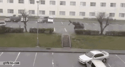 Wind Blowing GIF - Wind Blowing GIFs