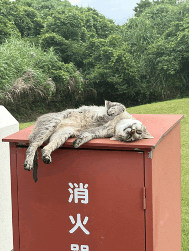a cat is sleeping on top of a red box with chinese writing on it