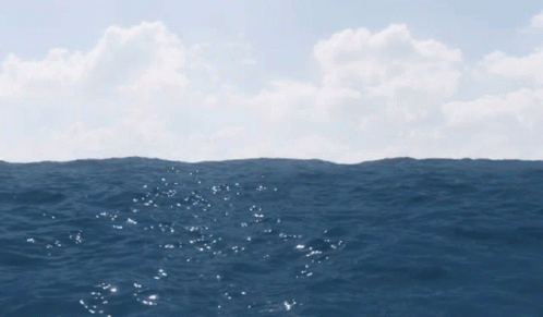 Ocean Sea GIF - Ocean Sea Water GIFs