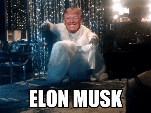 a picture of elon musk with a picture of donald trump