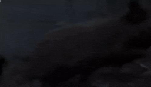 a black background with a blurred image of a forest