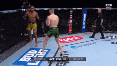 two men are fighting in a boxing ring with bud light advertisements on the floor