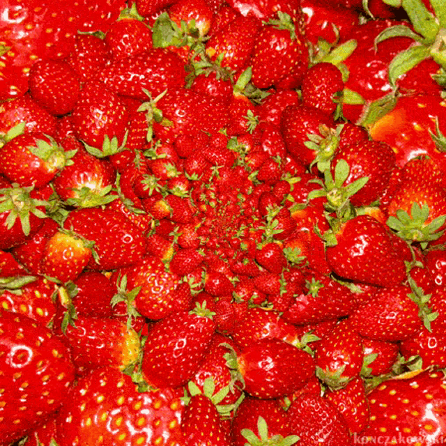 a bunch of strawberries are arranged in a circle
