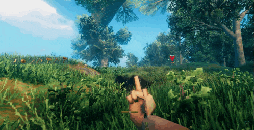a person 's hand is holding a stick in the grass