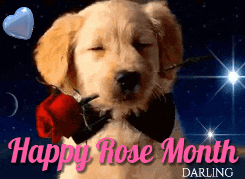 a puppy with a red rose in its mouth and the words happy rose month darling below it
