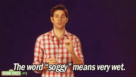a man in a plaid shirt says " the word soggy " means very wet