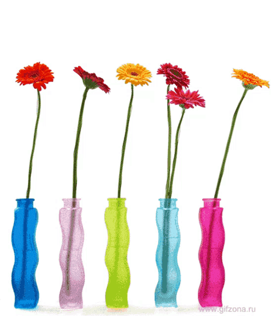 a row of colorful vases with flowers in them and the words " a & h & b & m " on the bottom