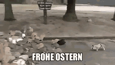 a dog is walking down a sidewalk next to a pile of rocks and a sign that says frohe ostern .