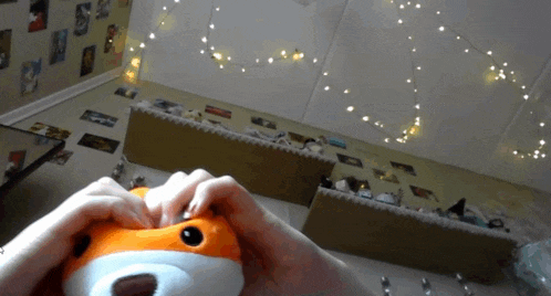 a person holds a stuffed animal in their hands