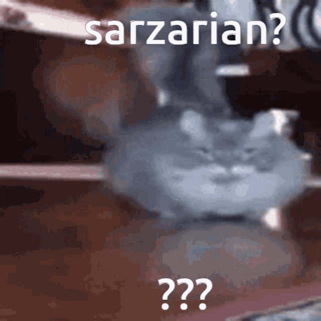 a picture of a cat with the words sarzarian written above it