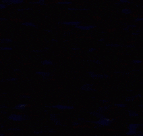 a blue and purple unicorn with the words amras musik below it