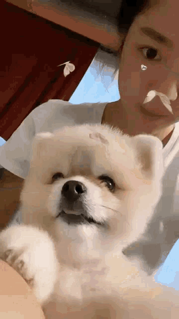 a woman is holding a small white dog with a flower on her face .