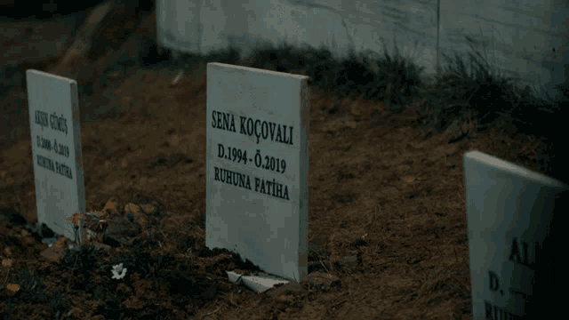two graves in a cemetery one of which says sena kocovalli