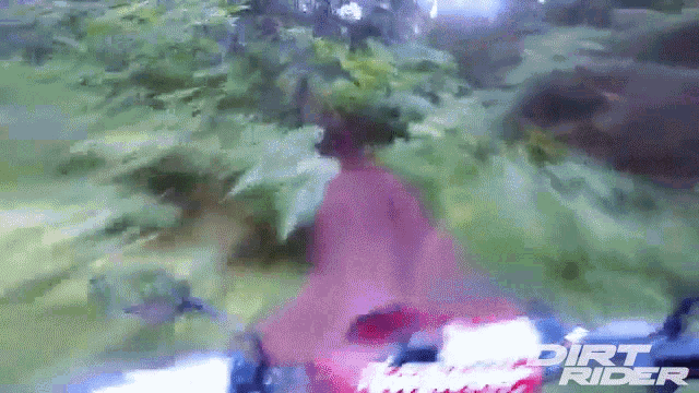 Rough Track Forets Ride GIF - Rough Track Forets Ride Riding GIFs
