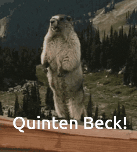 a ground squirrel standing on its hind legs with the words quinten beck behind it